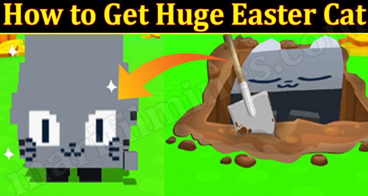 Gaming Tips How to Get Huge Easter Cat