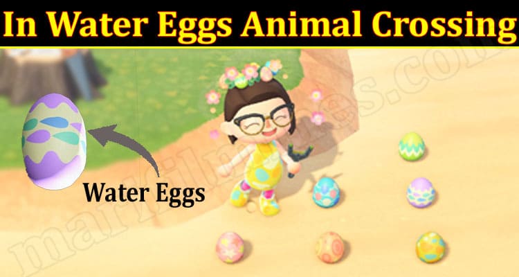 Gaming Tips In Water Eggs Animal Crossing