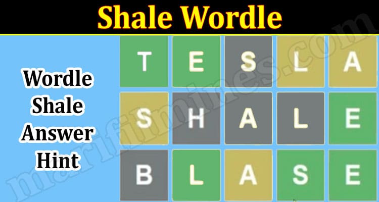 Gaming Tips Shale Wordle