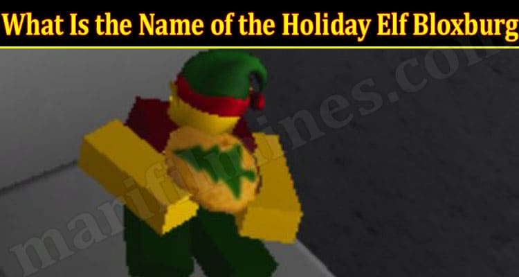 Gaming Tips What Is the Name of the Holiday Elf Bloxburg