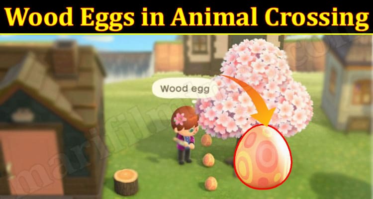 Gaming Tips Wood Eggs in Animal Crossing