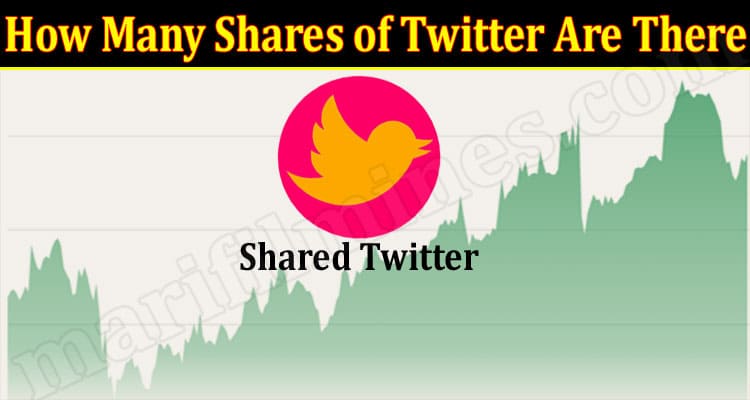 Latest News How Many Shares of Twitter Are There