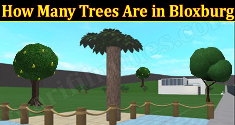 Latest News How Many Trees Are In Bloxburg
