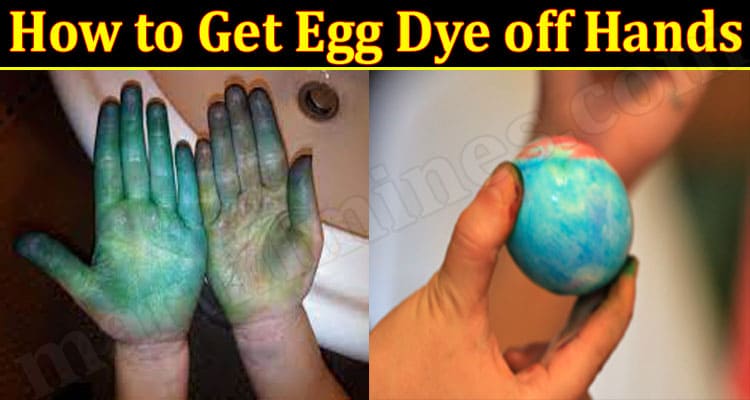 Latest News How to Get Egg Dye off Hands