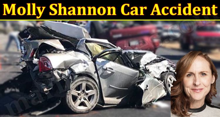 Latest News Molly Shannon Car Accident