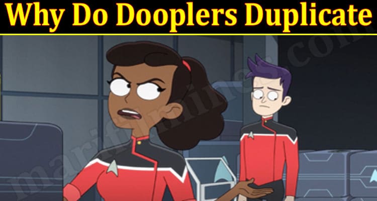 Latest News Why Do Dooplers Duplicate