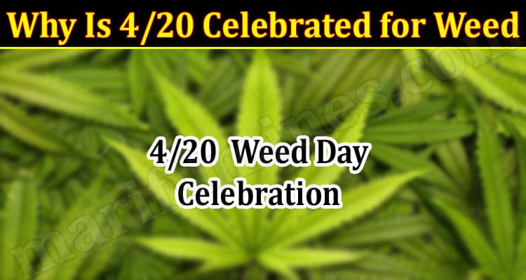 Latest News Why Is 4 20 Celebrated for Weed