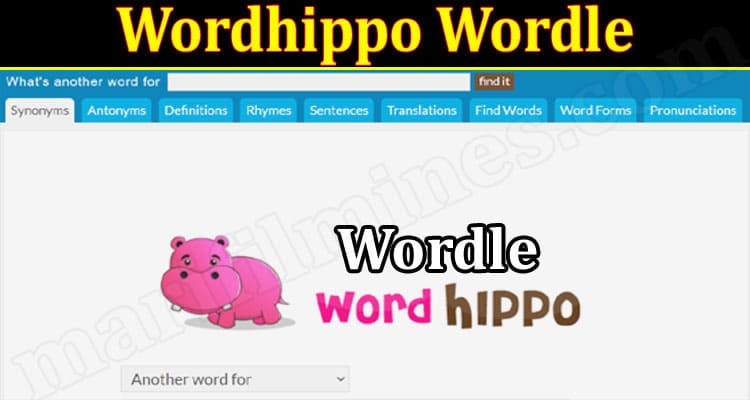 Latest News Wordhippo Wordle