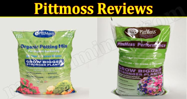 Pittmoss Online Website Reviews