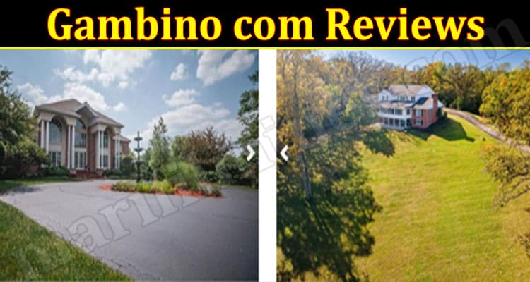 Gambino com Online Website Reviews