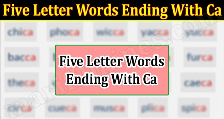 Gaming Tips Five Letter Words Ending With Ca