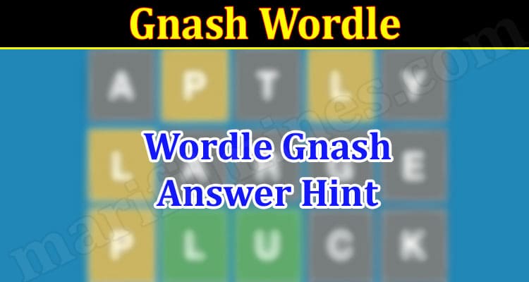 Gaming Tips Gnash Wordle
