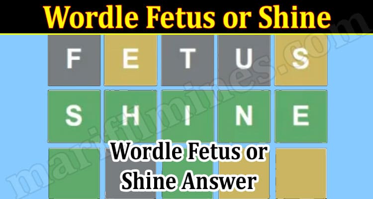 Gaming Tips Wordle Fetus or Shine
