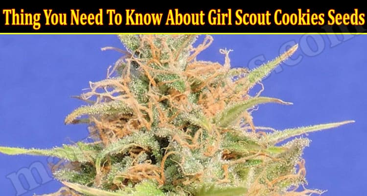How to o Know About Girl Scout Cookies Seeds