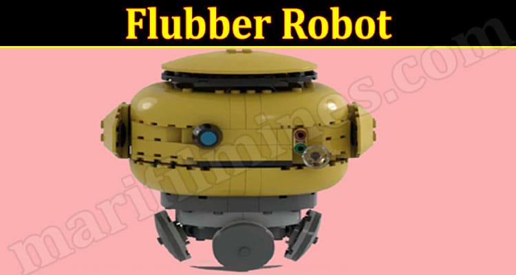 Latest News Flubber Robot