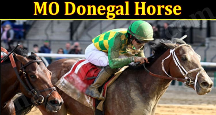 Latest News MO Donegal Horse