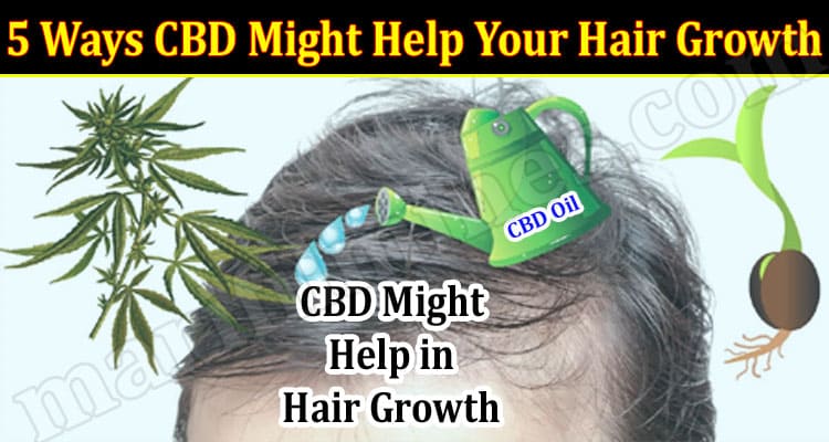 Best Top 5 Ways CBD Might Help Your Hair Growth