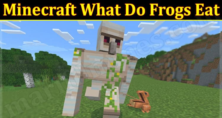 Gaming Tips Minecraft What Do Frogs Eat