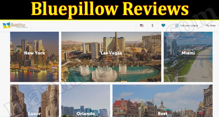 Latest News Bluepillow Reviews