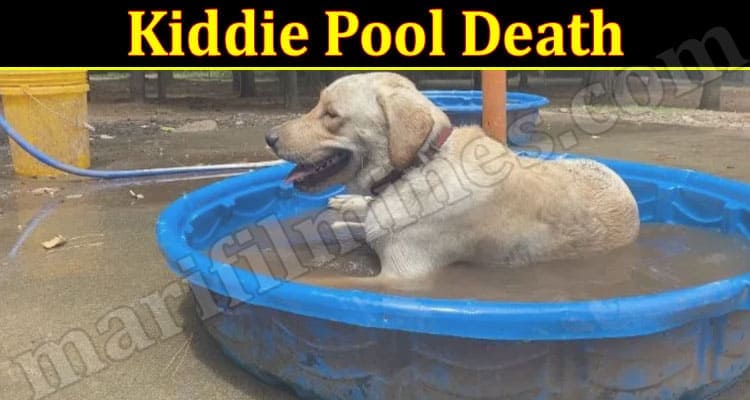 Latest News Kiddie Pool Death