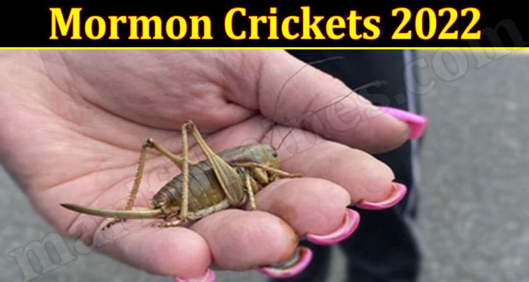 Latest News Mormon Crickets 2022