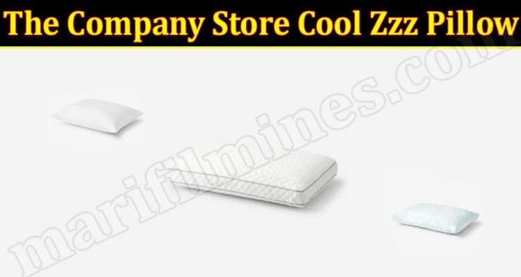 Latest News The Company Store Cool Zzz Pillow
