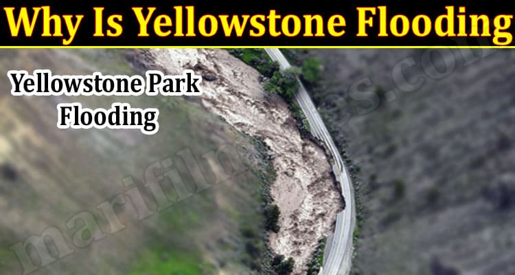 Latest News Why Is Yellowstone Flooding
