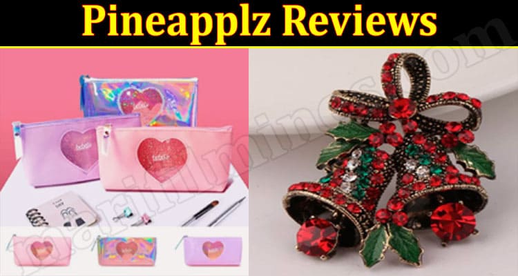 Pineapplz Online Website Reviews