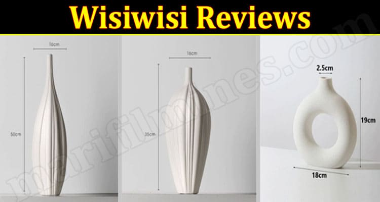 Wisiwis iOnline Website Reviews