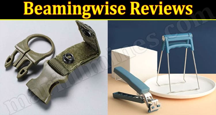 Beamingwise Online Website Reviews