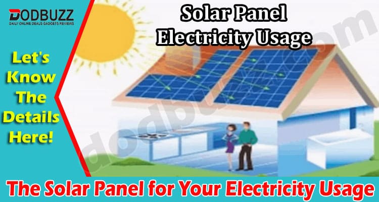 Complete Guide to The Solar Panel for Your Electricity Usage