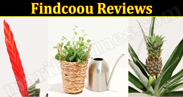 Findcoou Online Website Reviews