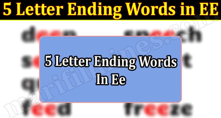 Gaming Tips 5 Letter Ending Words in EE