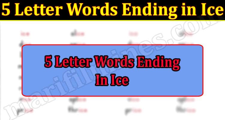 Gaming Tips 5 Letter Words Ending In Ice