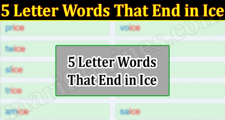 Gaming Tips 5 Letter Words That End in Ice