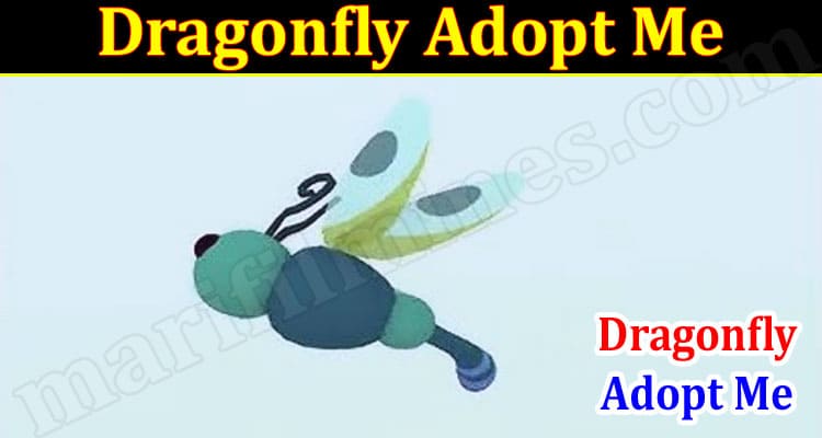 Gaming Tips Dragonfly Adopt Me