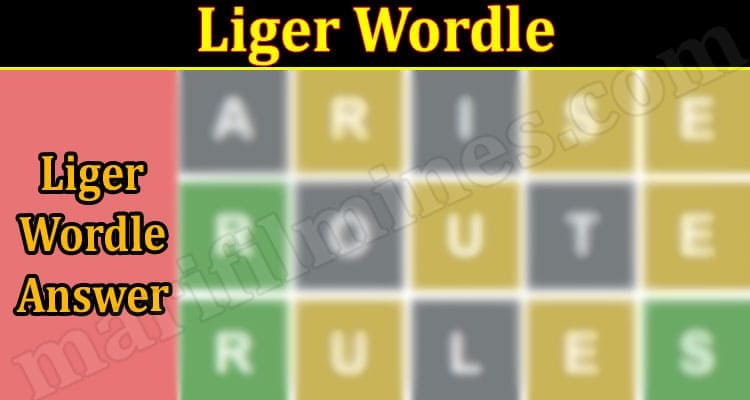 Gaming Tips Liger Wordle