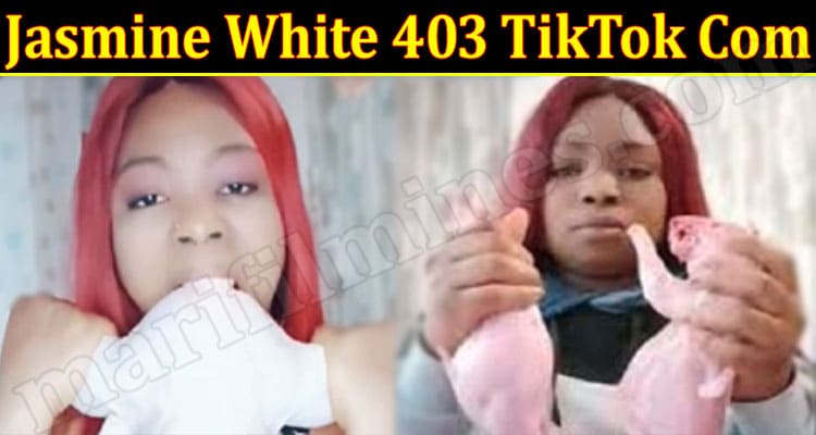 Latest News Jasmine White 403 TikTok Com