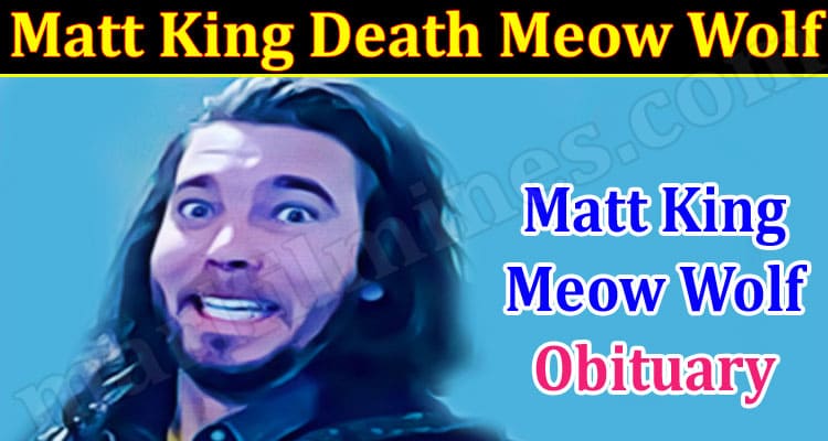 Latest News Matt King Death Meow Wolf