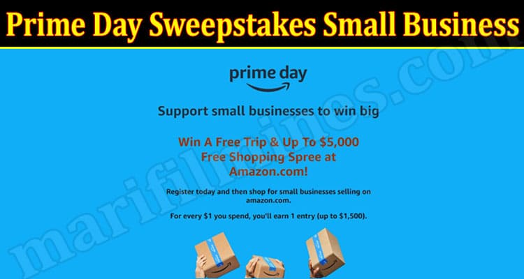 Latest News Prime Day Sweepstakes Small Business
