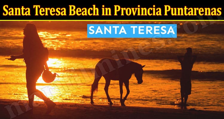 Latest News Santa Teresa Beach in Provincia Puntarenas
