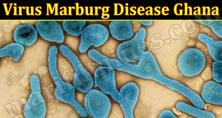 Latest News Virus Marburg Disease Ghana