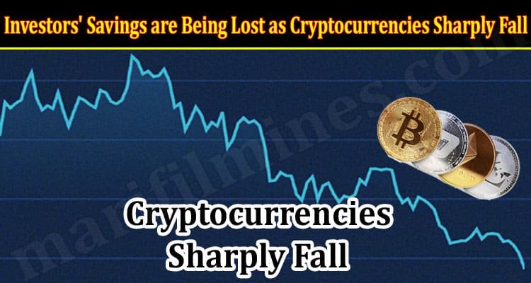 Savings are Being Lost as Cryptocurrencies Sharply Fall