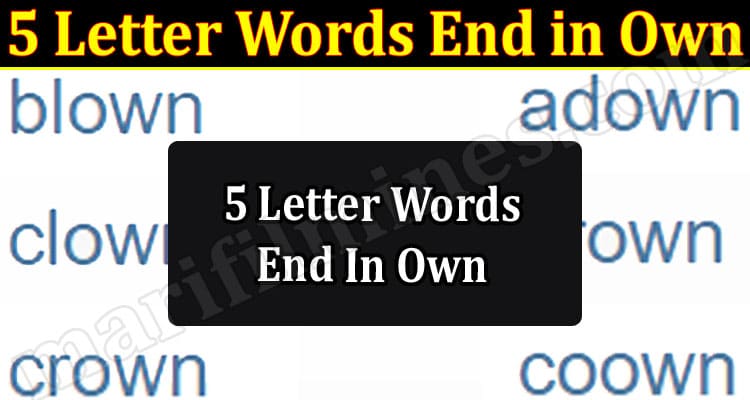 Gaming Tips 5 Letter Words End in Own