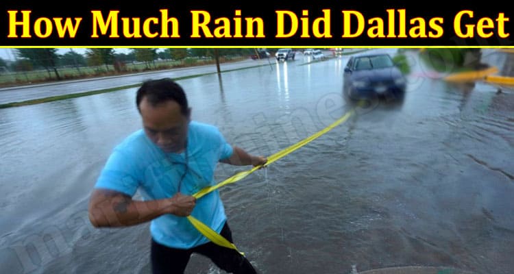 Latest News How Much Rain Did Dallas Get