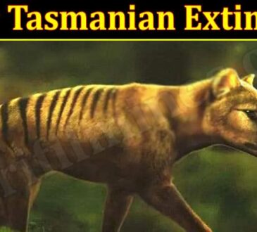 Latest News Tiger Tasmanian Extinction