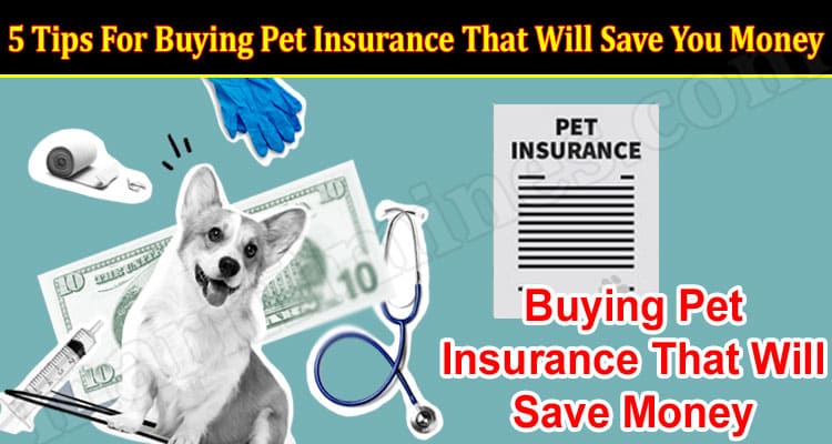 5 Tips For Buying Pet Insurance That Will Save You Money