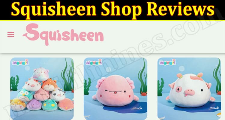 Squisheen Shop Online website Reviews