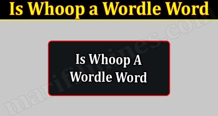 Is Whoop a Wordle Word {Sep 2022} Solve Your Query Here!