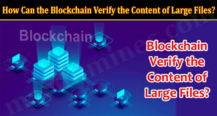 How Can the Blockchain Verify the Content of Large Files
